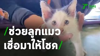 ช่วยลูกแมวติดใต้ท้องรถ เชื่อมาให้โชค | 01-04-64 | ข่าวเช้าหัวเขียว