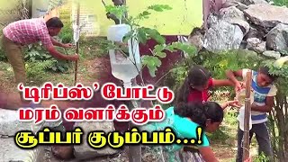 'டிரிப்ஸ்' போட்டு மரம் வளர்க்கும் சூப்பர் குடும்பம்...!