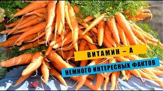 16 интересных фактов о витамине А за 2 минуты