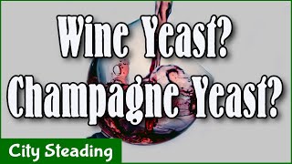 EC-1118 vs K1-V1116 Part 3 - Wine vs Champagne Yeast Results