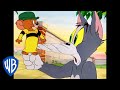 Tom y Jerry en Latino | ¿Truco o Truco? | WB Kids