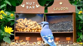 TGIF Nut Bar Part 2 - September 17, 2021