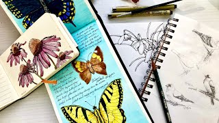 3 Reasons To Start a Nature Journal