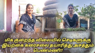 மிக குறைந்த விலையில் செடிகளுக்கு இயற்கை கரைசலை தயாரித்து அசத்தும் பெண்மணி!!