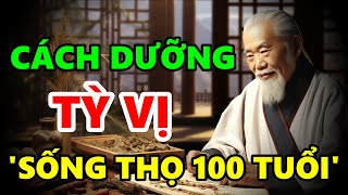 CÁCH DƯỠNG TỲ VỊ theo Đông Y để sống khỏe sống thọ 100 Tuổi