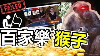 百家樂猴子的一生｜靠賭翻身 | 【賭爛八嘎】