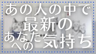 あの人の中で最新のあなたへの気持ち【恋愛・タロット・オラクル・占い】