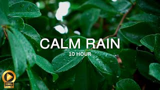10 Hour | Spiritual Rain Meditation | Insomnia | Study | Focus | Spa | Calming Background Ambience