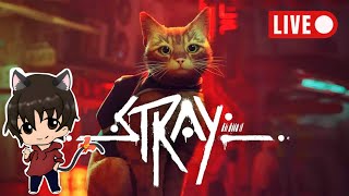 【Stray】#1　ねことして 自由に生きる この世界　【yuuさんプレゼント枠】