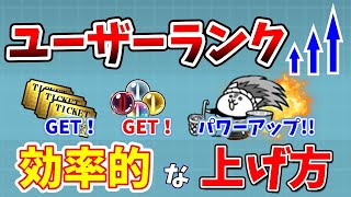 【にゃんこ大戦争】ユーザーランクの上げ方！「効率的」にユーザーランクを上げる方法【初心者】