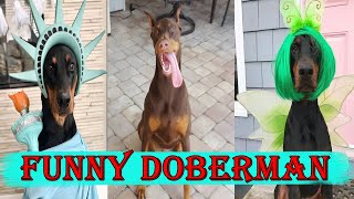 Top 10 Funny Doberman Dog Videos | Funniest \u0026 Cutest Doberman Dog 2020