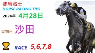 HKJC「賽馬貼士」🐴 2024  年 4  月 28  日 沙田 🐴 香港賽馬貼士 HONG KONG HORSE RACING TIPS 🐴 RACE  5  6  7  8
