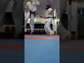 مبارزه حرفه ای دو کاراته کار کاراته_کنترلی رزمی کاراته کاراته_ایران fight fighting karate