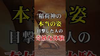 稲荷神の「本当の姿」を見てしまった参拝客の奇妙な体験談…伏見稲荷大社都市伝説【 都市伝説 神社 パワースポット 伏見稲荷 ミステリー 】