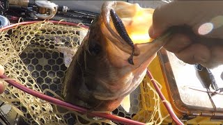 鳴滝ダムバス釣り@10月末