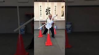 Some 32 Tai Chi Sword form movements with detailed visual applications #taichi #taiji #太极拳