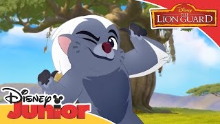 The Lion Guard - 'Bunga the Wise' Music Video | Official Disney Junior Africa