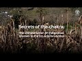 Secrets of the Andean chakras: the climate action of Indigenous Women in Ecuador (short version)