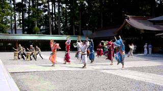 2011新潟総踊り前日　弥彦神社奉納踊り