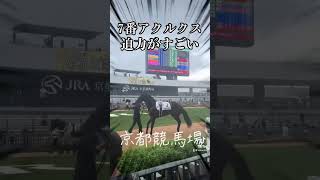 1位おめでとう🍾#京都競馬場 #shorts #アクルクス　#競馬女子　#vlog