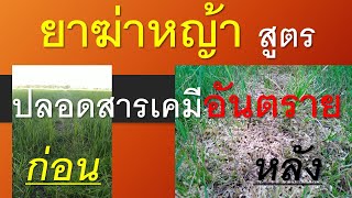 ยาฆ่าหญ้าสูตรปลอดสารเคมีอันตราย