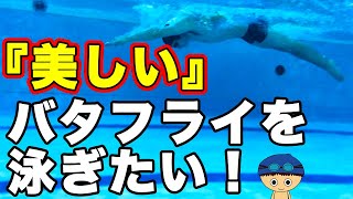 バタフライ ドルフィンキック 腕を使って うねりのコツ タイミング を習得する練習方法