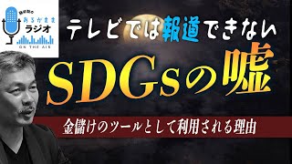 TVでは報道できないSDGsの嘘〜金儲けのツールとして利用される理由 [2023 2 20放送］週刊クライテリオン 藤井聡のあるがままラジオ