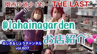 【多肉植物】vol.607 関西珍道中(笑)The LAST♪ラハイナガーデン!!2023/03/03 #多肉植物 #多肉狩り #お店紹介