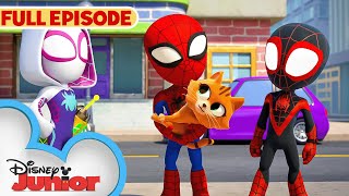 CAT-astrophe | S1 E11 Pt 1 | Marvel's Spidey and his Amazing Friends | Full Episode | @disneyjunior