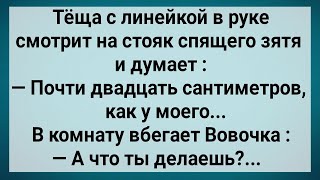 Как Теща Зятю Хозяйство Измеряла! Сборник Свежих Анекдотов! Юмор!