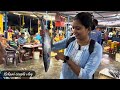 नायगाव होलसेल फिश मार्केट लिलाव naigaon biggest wholesale lilav kokani couple vlog