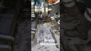 Ball Mill Pinion Assembly bearing Replacement