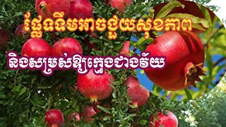 ផ្លែទទឹមអាចជួយសុខភាព និងសម្រស់ឱ្យក្មេងជាងវ័យ