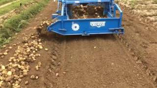 Potato harvester in india