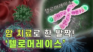 암세포의 증식을 막으려면? [핫클립] / YTN 사이언스