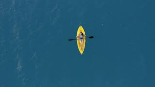 San Diego's Ocean Temperatures A Year Round Guide
