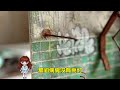 模型制作：废弃的鬼医院，晚上竟然传出诡异笑声，这样你敢去嘛？