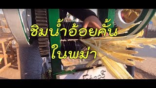 กินน้ำอ้อยคั้นที่พม่า (Sugarcane juice in Myanmar)