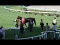 2012年8月26日札幌 11r キーンランドカップ　優勝　パドトロワ