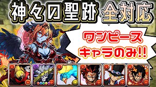 【神々の聖跡(ヘラ)】4聖跡 全対応! ワンピースキャラのみ 字幕解説【パズドラ】