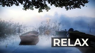 Half-Light Ambient Sounds, Cricket, Swamp Sounds at Night, Sleep and Relaxation Meditation Sounds