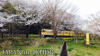 【4K HDR】③東村山音頭で有名な街を散歩(Higashimurayama) - Tokyo JAPAN Walk