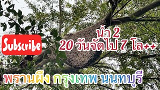 พรานผึ้ง กรุงเทพ นนทบุรีEP.151