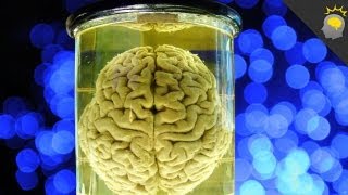 Zombie Foodies: How long does it take to grow a human brain? - Epic Science #51