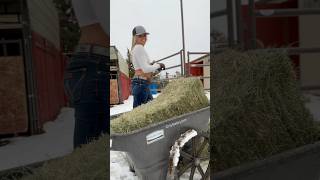 The Trick to Open Square Bales without a Blade