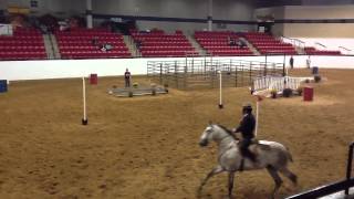 Working Equitation Speed Phase at IALHA Nationals Haras Dos Cavaleiros Carlos Salguero and Diablo DC