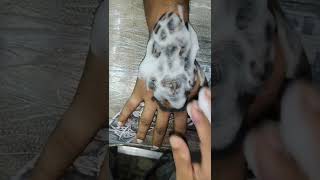 hand tiger tattoo #like #comments #shere #subscribe #views #tattooart #jaimahakal