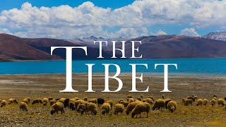 Tibet 4k: Scenic Relaxation With Calming Music