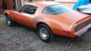 Ls Swapped 1981 Firebird Formula