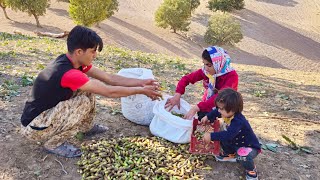 The Hidden Power of the Mountain 🌰 Kamal \u0026 Umm al-Bani’s Survival Quest Reveals a Secret Harvest!